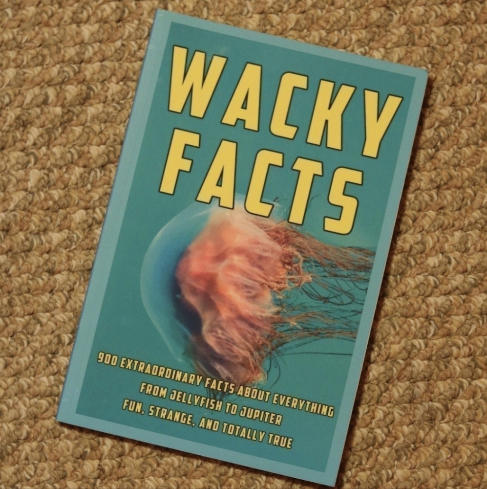 Wacky Facts Book